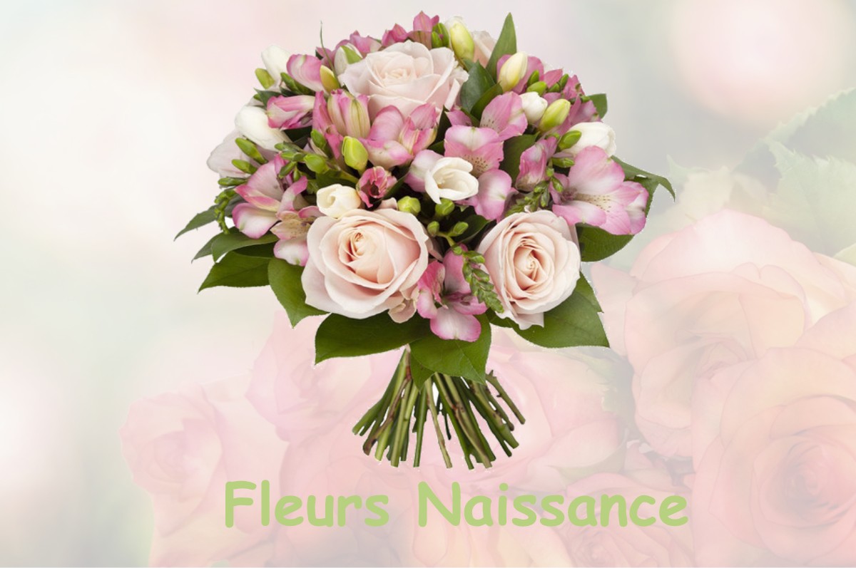 fleurs naissance SERRE-NERPOL