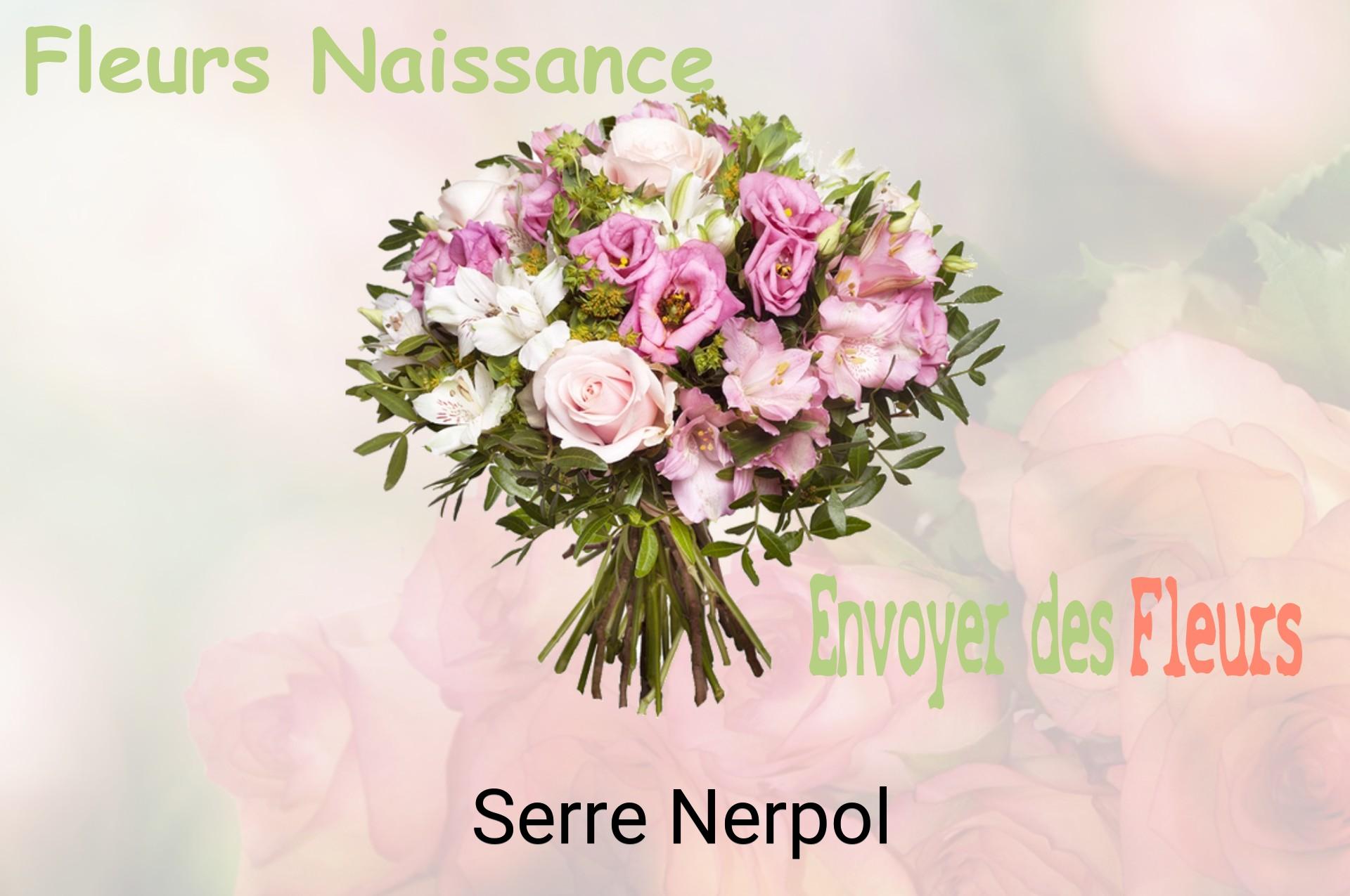 Bouquet de fleurs de naissance livré à Serre-Nerpol