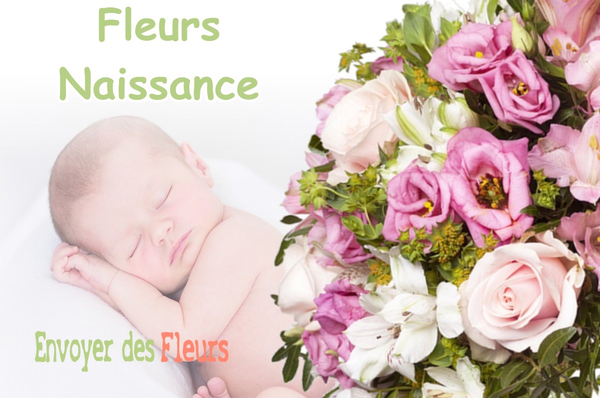 lIVRAISON FLEURS NAISSANCE à SERRE-NERPOL